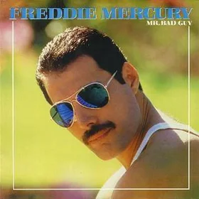 Mr. Bad Guy